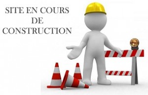 site-en-cours